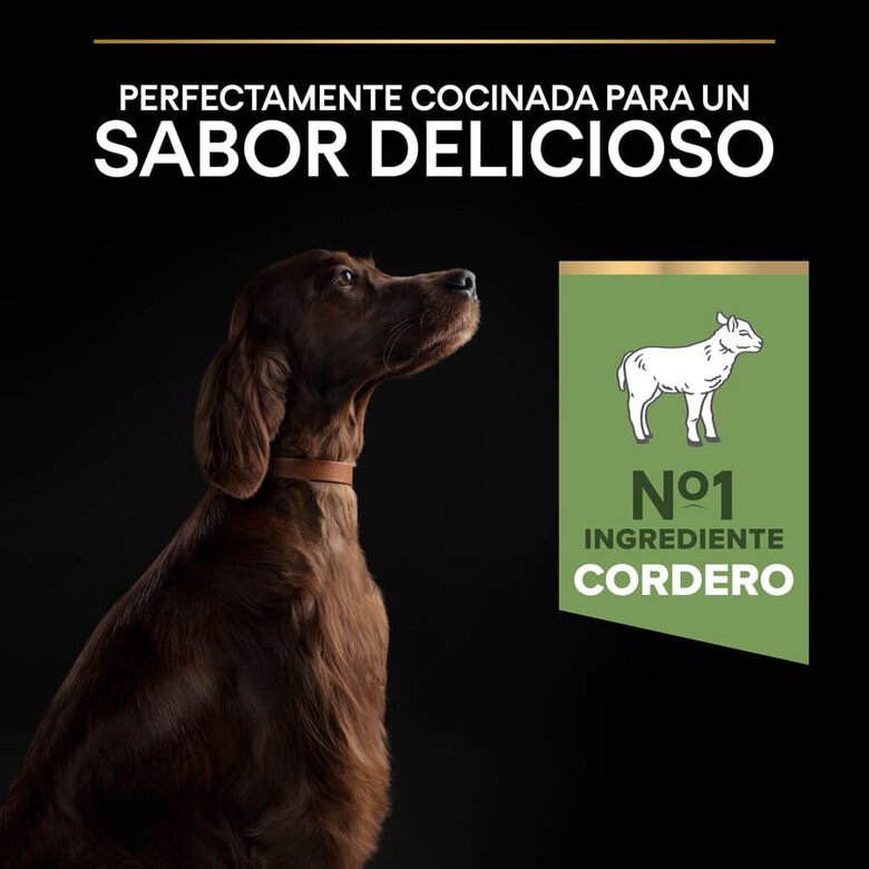 Pro Plan Adult Large OptiDigest Cordero pienso para perros image number null